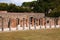 The Gladiators Palestra in Pompeii