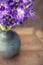 Gladiola Flowers 