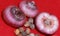 Gladioli bulbs on a red background close-up of varietal plants. Preparing flowers for planting.