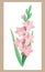 Gladiolus flower in cartoon style in pale pink and green colors