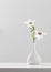 Gladiolus Muriel or acidanthera in  vase on white background