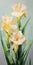 Gladiolus: A Stunning Painting Of Three Yellow Flowers