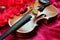 Gladiolus and violin. violin and flowers on a silk background.