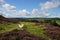 Glaisdale Moor, Glaisdale, North York Moors, North Yorkshire, England