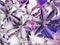 An  glamorous artistic design of colorful graphic pattern of leaves of plants