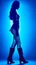 Glamorous Blue Vintage Fashion Ankle Boot Silhouettes in Modern Poster Art.