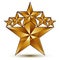 Glamorous vector template with pentagonal golden star symbol