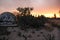 Glamping Geodesic Dome luxury tent amid cactus at sunset