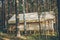 Glamping tent house in forest. Camping and vacation outdoor concept. Rest at nature