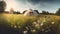 Glamping tent in the meadow with chamomile flowers
