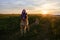 Glare from sunlight on wide-angle lens. Contour light. Evening walk with dogs in field in summer. Aussie sits and waits and German