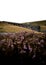 Glascarnoch Dam blanketed in autumnal hues, nestled between Ullapool and Inverness