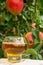 Glass of apple cider from Normandy, France and green apple tree with ripe red fruits on background