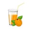 Glass with Apricot Juice