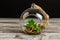 Glass aroma sphere with wet rocks and herb for spa.