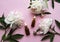 Glass aromatic oil bottles and peony flowers on pink pastel background