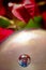 Glass ball and Bouganville flower closeup