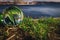 Glass ball laying on the grass