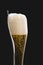 Glass of beer and bottle silhouette. German pilsner beer