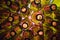 Glass beer bottles lie in rows, necks on camera, shallow depth of sharp