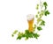 Glass of beer and branch of hops on light background