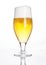 Glass of beer cider with foam golden color white