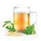 Glass of beer, hops and barley - on white background
