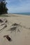 Glass bottle on the beach