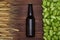 A glass bottle of beer, green cones of hops and grain on wooden background. Top view. Free space for text