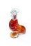 Glass bottle chicken of wine