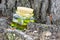 Glass bottle with cork cap with green-yellow nectar oil. Located under a coniferous tree