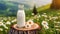 Glass bottle of fresh milk on tree stump, green grass and daisies. Tasty and healthy beverage