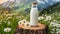 Glass bottle of fresh milk on tree stump, green grass and daisies. Tasty and healthy beverage