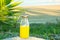 Glass Bottle with Freshly Pressed Tropical Fruits Juice Straw Standing on Rock at Beach. Green Palm Tree Leaves Succulents