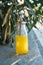 Glass Bottle with Freshly Pressed Tropical Fruits Juice Straw Standing on Stone. Green Palm Tree Leaves in Background. Golden Sun