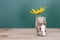 A glass bottle full of dollar coins and a wild flower in front of the blackboard