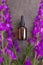 Glass bottle of Lavender essential oil on textural gray background. Natural material