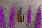 Glass bottle of Lavender essential oil on textural gray background. Natural material