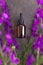 Glass bottle of Lavender essential oil on textural gray background. Natural material