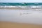 Glass bottle with message inside buried in beach sand.