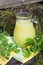 Glass bottle of milk tincture of flowers of chelidonium majus, celandine, nipplewort, swallowwort, tetterwort in old garden