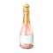 A glass bottle with pink wine or champagne, closed with golden foil and an empty white label. Watercolor illustration