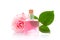 Glass bottle with transparent liquid, pink rose and green leaf