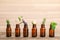 Glass bottles with different essential oils and herbs