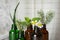 Glass bottles of different essential oils with plants against blurred background