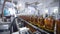 Glass bottles filled with brandy move along conveyor line in modern distillery for bottling alcoholic beverages. Working