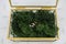 Glass box with golden brass edges filled with natural forest moss where two wedding bands are placed