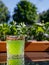 Glass with a bright green chilled drink on the table in a street outside cafe with a view of the sea in the sun day