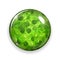 Glass button or sphere with green leaves