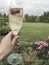 A glass of champagne against garden